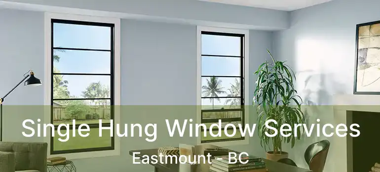  Single Hung Window Services Eastmount - BC