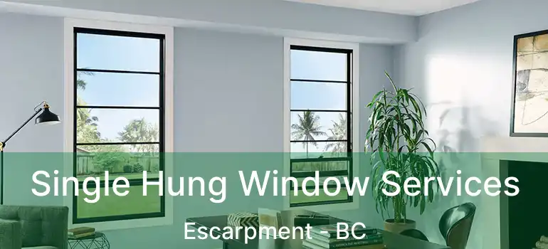 Single Hung Window Services Escarpment - BC