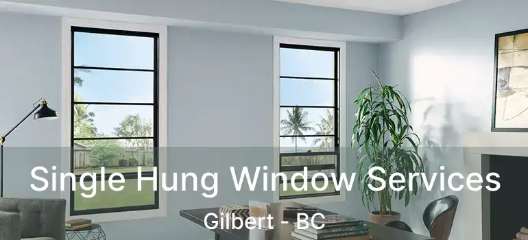  Single Hung Window Services Gilbert - BC