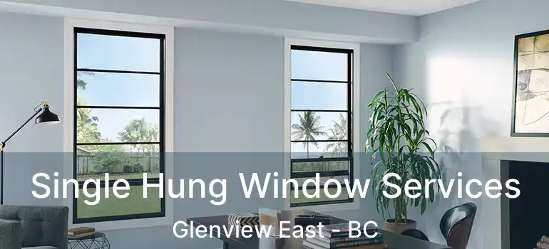  Single Hung Window Services Glenview East - BC