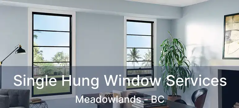  Single Hung Window Services Meadowlands - BC