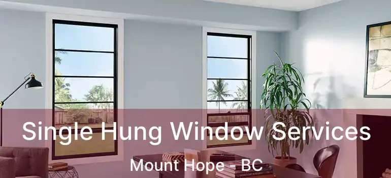  Single Hung Window Services Mount Hope - BC