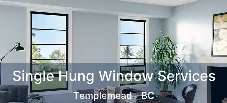  Single Hung Window Services Templemead - BC