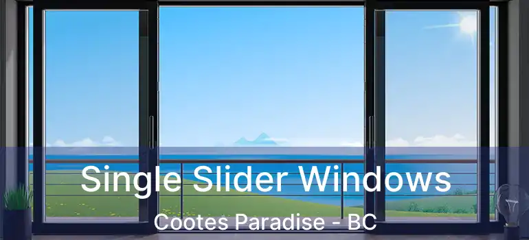  Single Slider Windows Cootes Paradise - BC