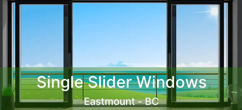  Single Slider Windows Eastmount - BC