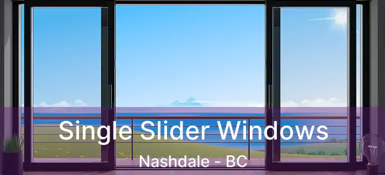  Single Slider Windows Nashdale - BC