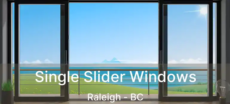  Single Slider Windows Raleigh - BC