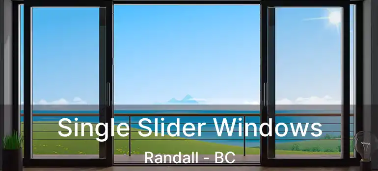  Single Slider Windows Randall - BC