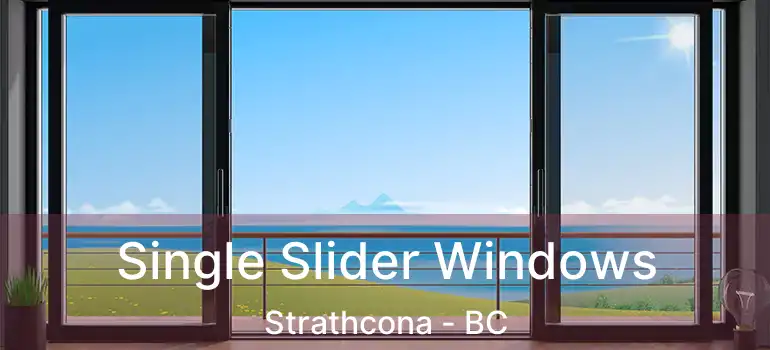  Single Slider Windows Strathcona - BC