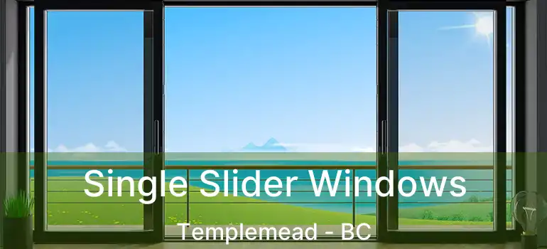  Single Slider Windows Templemead - BC