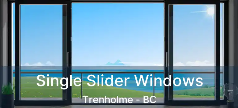  Single Slider Windows Trenholme - BC