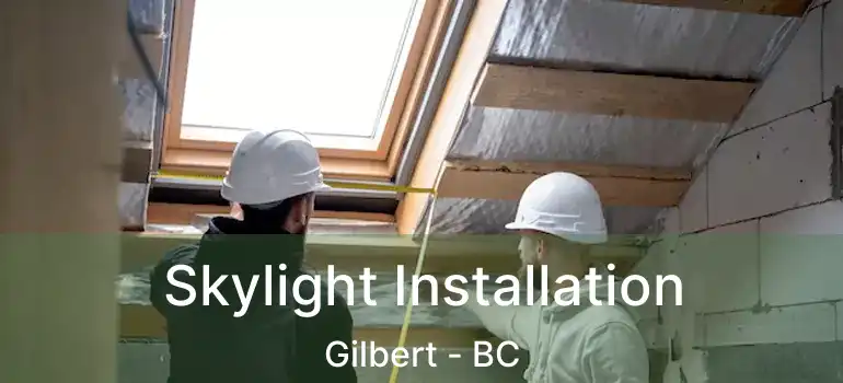  Skylight Installation Gilbert - BC