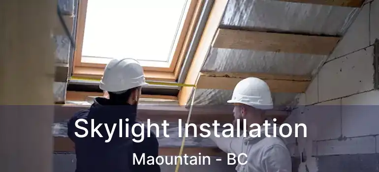  Skylight Installation Maountain - BC