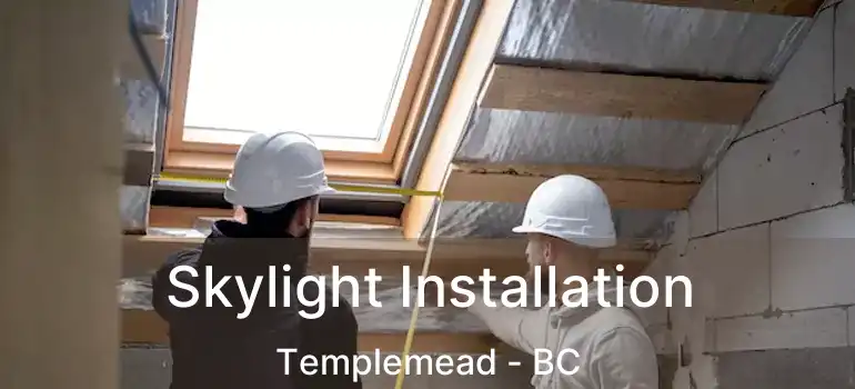  Skylight Installation Templemead - BC