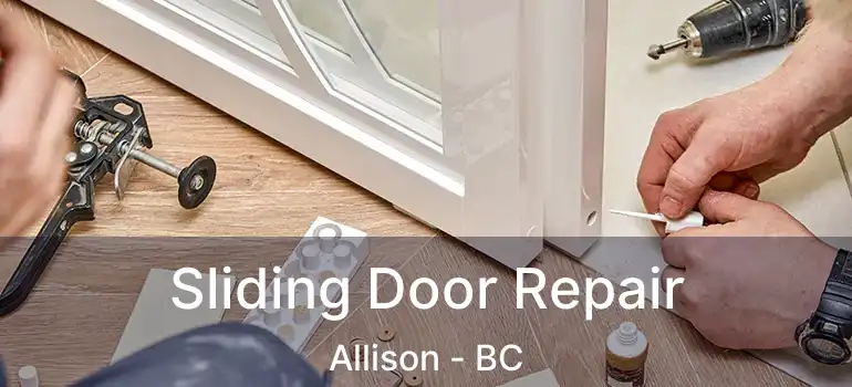  Sliding Door Repair Allison - BC