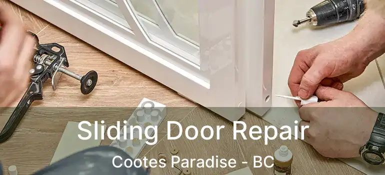  Sliding Door Repair Cootes Paradise - BC