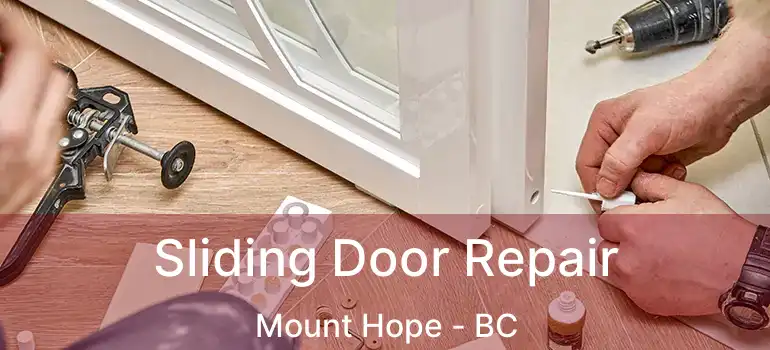  Sliding Door Repair Mount Hope - BC
