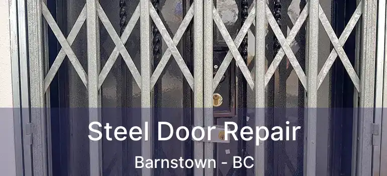  Steel Door Repair Barnstown - BC