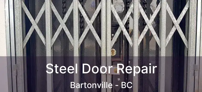  Steel Door Repair Bartonville - BC