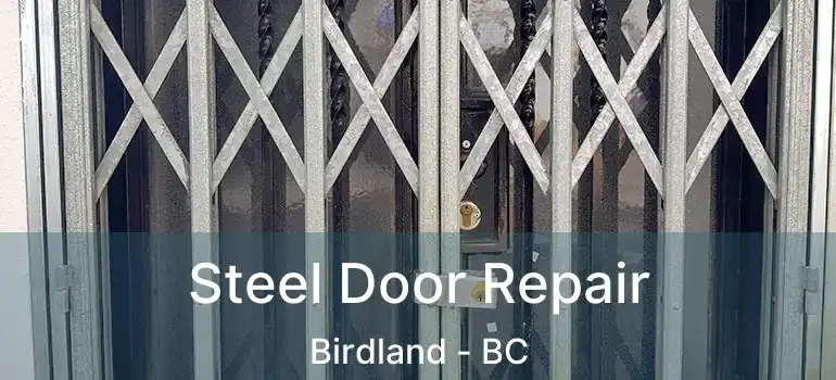  Steel Door Repair Birdland - BC