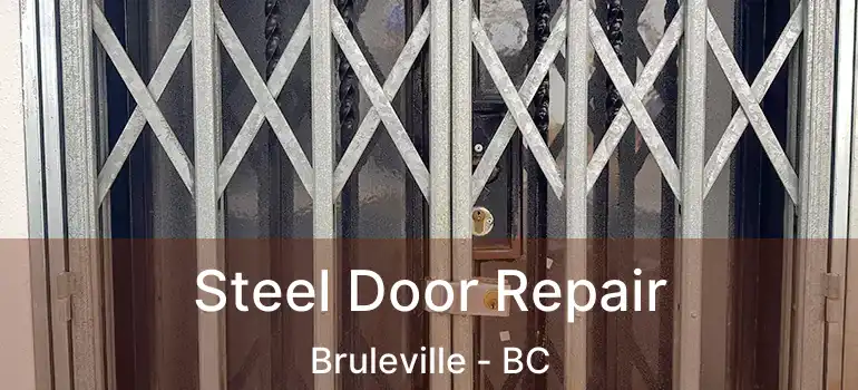  Steel Door Repair Bruleville - BC