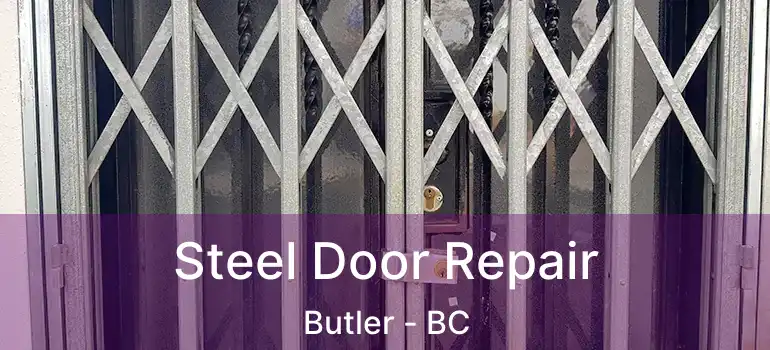  Steel Door Repair Butler - BC