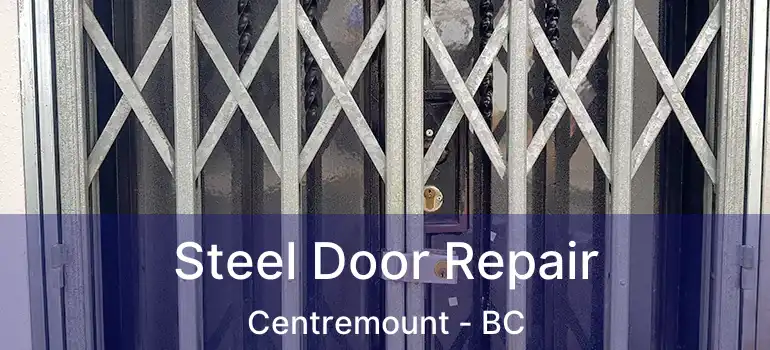  Steel Door Repair Centremount - BC