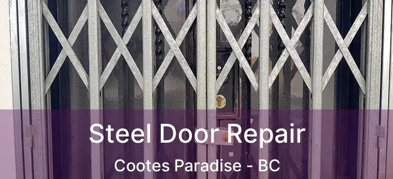  Steel Door Repair Cootes Paradise - BC