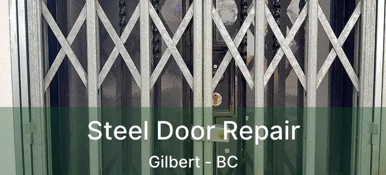  Steel Door Repair Gilbert - BC