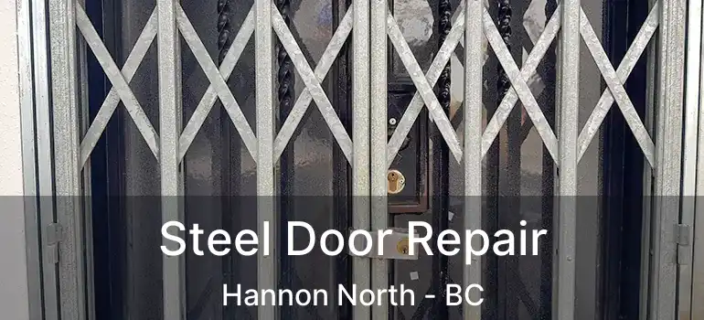  Steel Door Repair Hannon North - BC