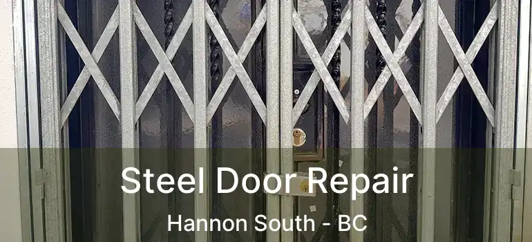  Steel Door Repair Hannon South - BC