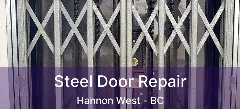  Steel Door Repair Hannon West - BC