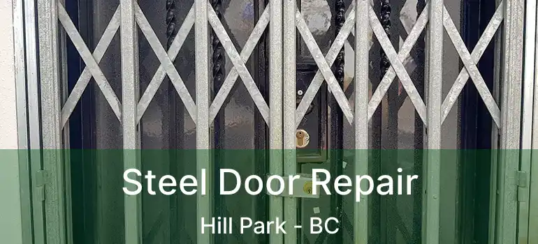  Steel Door Repair Hill Park - BC