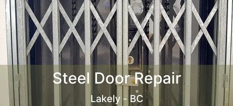  Steel Door Repair Lakely - BC
