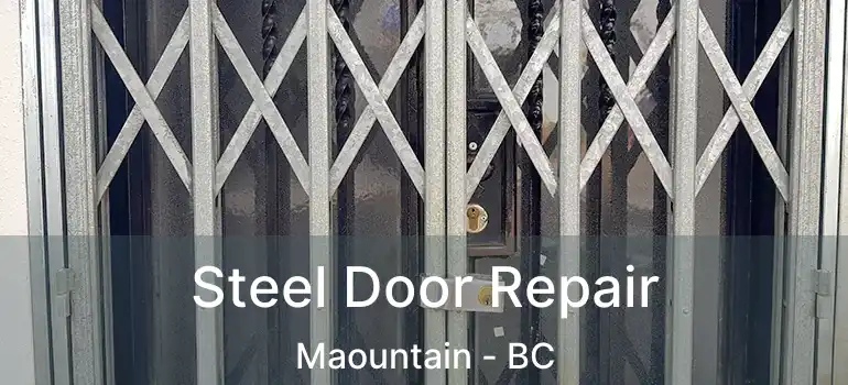  Steel Door Repair Maountain - BC