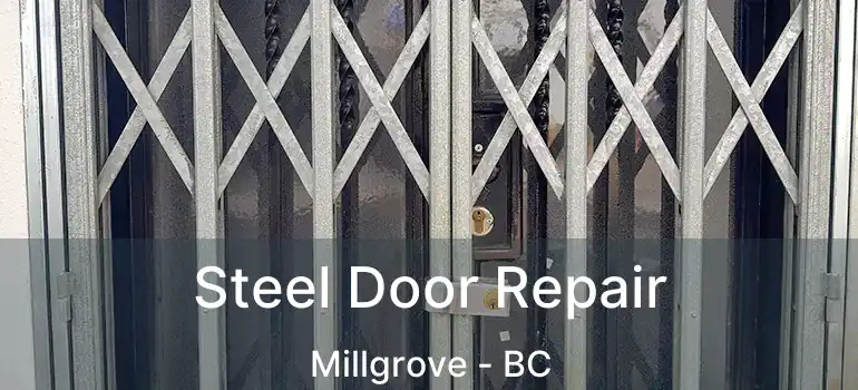  Steel Door Repair Millgrove - BC