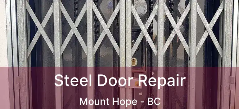  Steel Door Repair Mount Hope - BC