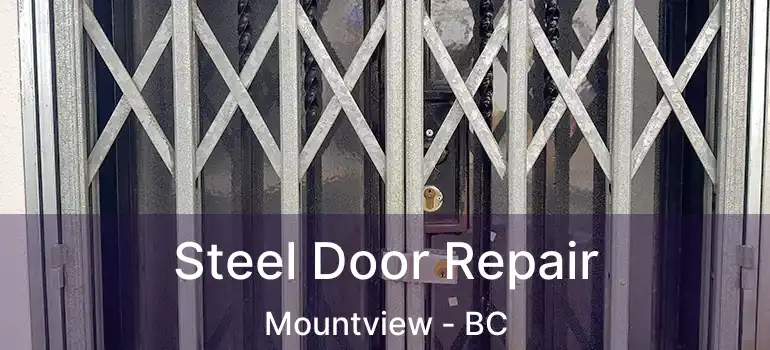  Steel Door Repair Mountview - BC