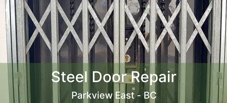  Steel Door Repair Parkview East - BC