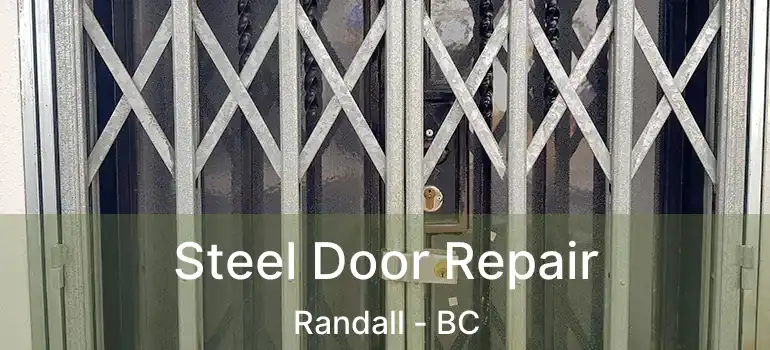  Steel Door Repair Randall - BC