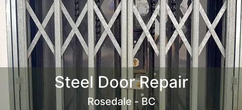  Steel Door Repair Rosedale - BC