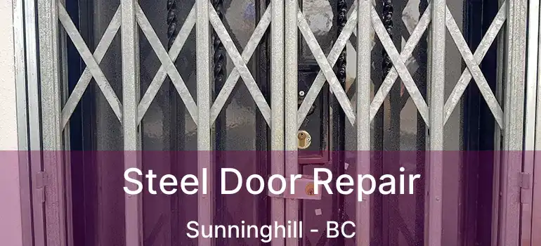  Steel Door Repair Sunninghill - BC