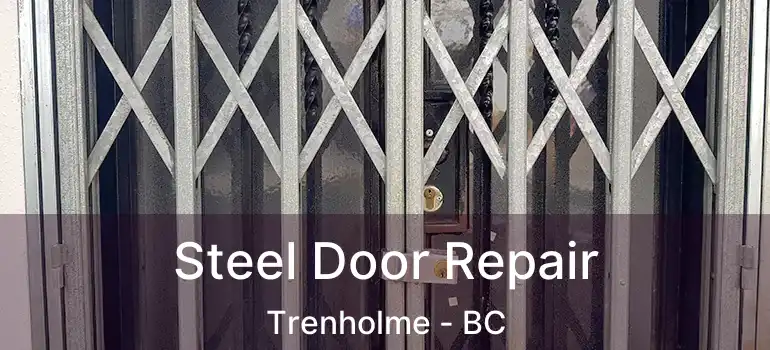  Steel Door Repair Trenholme - BC