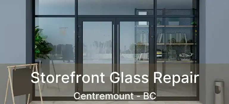  Storefront Glass Repair Centremount - BC