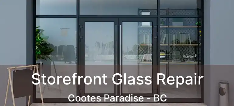  Storefront Glass Repair Cootes Paradise - BC