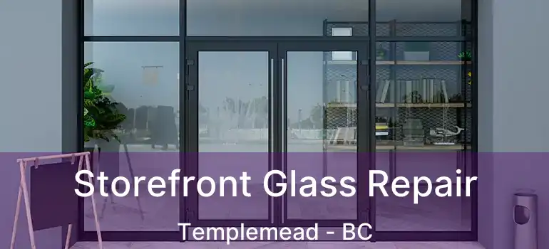  Storefront Glass Repair Templemead - BC