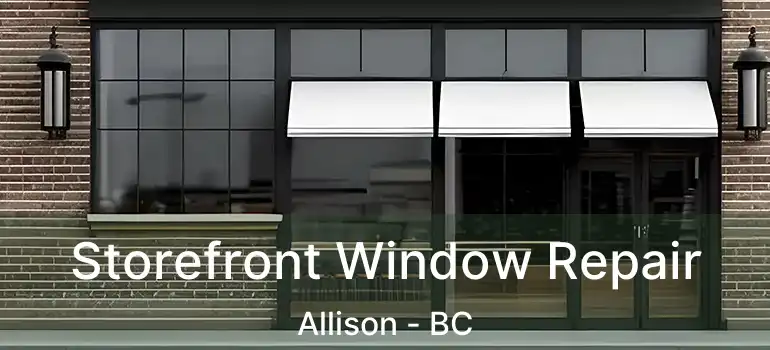  Storefront Window Repair Allison - BC