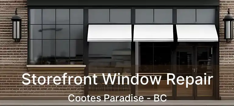  Storefront Window Repair Cootes Paradise - BC