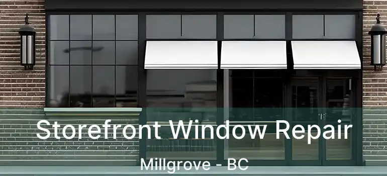  Storefront Window Repair Millgrove - BC