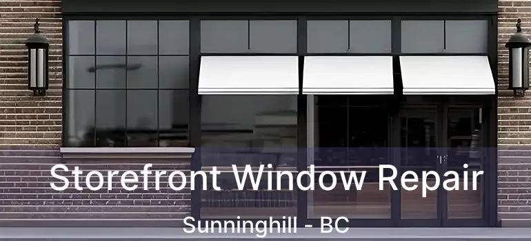  Storefront Window Repair Sunninghill - BC